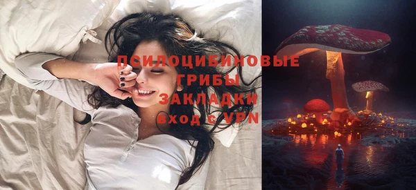 твердый Армянск